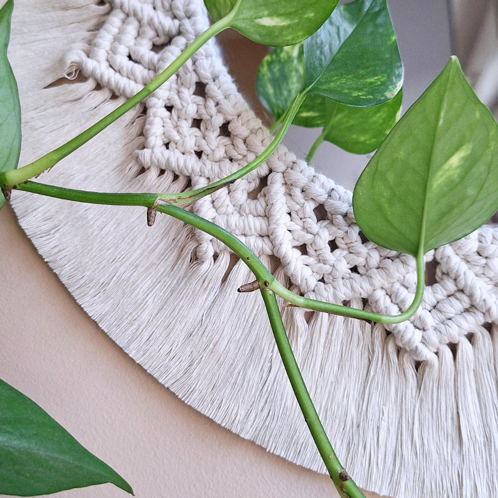 Miroir Reflet Tressé zoom tressage